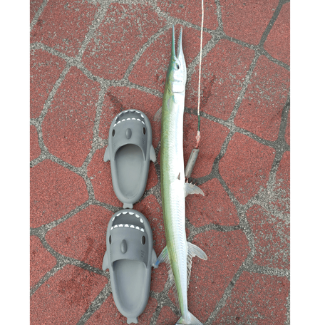 fishingguds