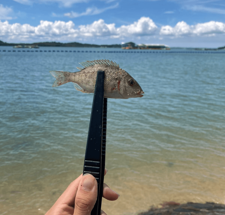 fishingguds