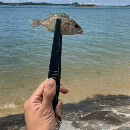 fishingguds