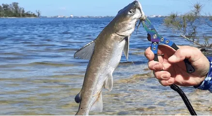 fishingguds
